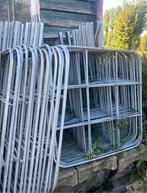 Lei boom metalen leirekken in 2 maten nu voor €15,00 pst, Ophalen of Verzenden, Bloeit niet, Halfschaduw, Overige soorten