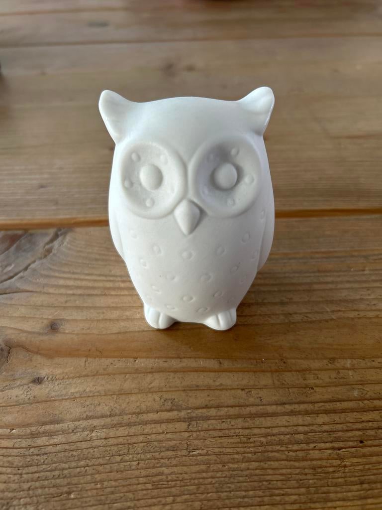 Leuke decoratieve uil met licht, Ophalen of Verzenden, Nieuw, Dier