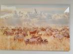 Glasschilderij Savanne zebra, bizon, Ophalen, Zo goed als nieuw, 100 tot 125 cm, Foto of Poster