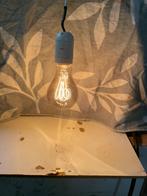 Warmtelampen verschillende modellen, Meerdere dieren, Overige soorten