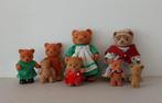 13 dieren poppenhuis muizen hond 9 beertjes, Ophalen of Verzenden, Gebruikt, Overige typen
