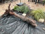 Decoratieve boomstronk met wortel., Ophalen, Zo goed als nieuw, Hout