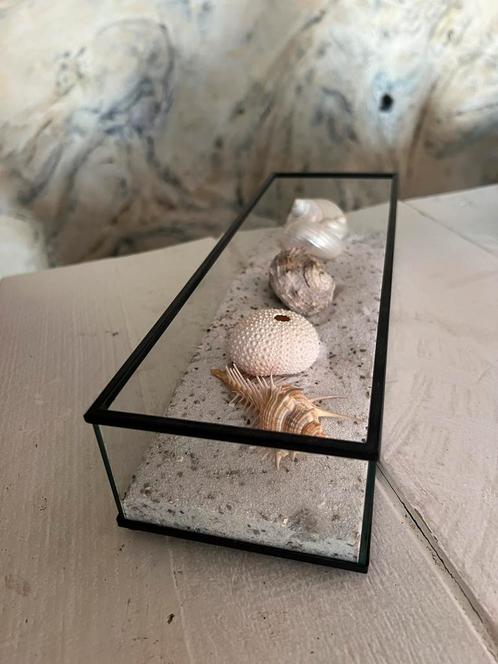 Prachtig Display Glas En Staal Schelpenzand Met Schelpen, Huis en Inrichting, Woonaccessoires | Overige, Nieuw, Ophalen of Verzenden