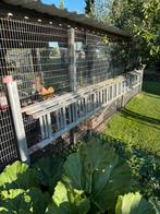 Ladder 3x 16 sporten, Doe-het-zelf en Verbouw, Ladders en Trappen, Ophalen of Verzenden, Zo goed als nieuw, 4 meter of meer