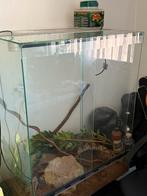 Terrarium 70x50x90cm – geschikt voor o.a. kameleons, Dieren en Toebehoren, Ophalen, Zo goed als nieuw, Terrarium of Paludarium