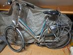 Gazelle damesfiets 57 cm, Fietsen en Brommers, Ophalen, Gebruikt, 56 cm of meer, Gazelle