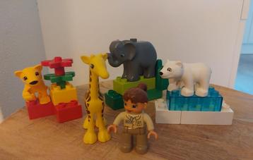 4962 Duplo set baby dierentuin     beschikbaar voor biedingen