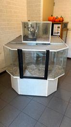 Knaagdieren eiland, Dieren en Toebehoren, Ophalen, Gebruikt, Terrarium of Paludarium