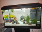 Juwel aquarium primo 60 zwart 57 x 61 x 37 x 37, Ophalen, Zo goed als nieuw, Leeg aquarium