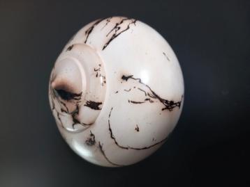 Nieuwe aardewerker pot beschikbaar voor biedingen