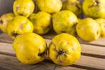 Kweepeer 1 euro per kilo, Diversen, Levensmiddelen, Ophalen of Verzenden
