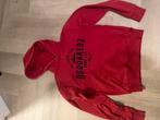 Dsquared hoody maat 14 jaar origineel, Gebruikt, Jongen of Meisje, Trui of Vest, Dsquared2