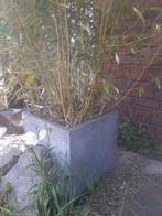 2 betonnen plantenbakken 40,40,40 cm, Minder dan 60 cm, Vierkant, Zo goed als nieuw, Beton