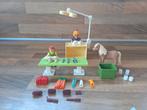 Playmobiel dierenarts, Ophalen of Verzenden, Zo goed als nieuw