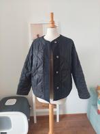 Scotch and Soda quilted jas, Scotch & Soda, Ophalen of Verzenden, Nieuw, Maat 34 (XS) of kleiner