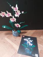 Lego Icons 10311 Orchidee - Compleet met Bouwbeschrijving, Ophalen, Zo goed als nieuw, Complete set, Lego