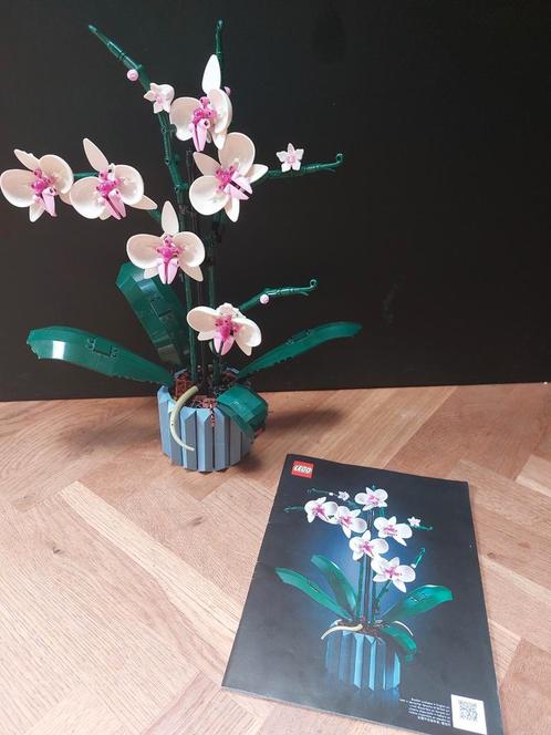 Lego Icons 10311 Orchidee - Compleet met Bouwbeschrijving, Kinderen en Baby's, Speelgoed | Duplo en Lego, Zo goed als nieuw, Lego