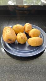Nieuwe aardappels Parel, Ophalen
