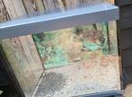 Terrarium, Dieren en Toebehoren, Reptielen en Amfibieën | Toebehoren, Ophalen, Zo goed als nieuw, Terrarium of Paludarium