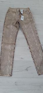 ZOSO Broek model Demi Gold maat S Nieuw elasthan prachtig, Overige kleuren, Nieuw, Ophalen of Verzenden, Maat 36 (S)