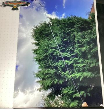 Tot 4 mt.uitschuifbare roede beschikbaar voor biedingen