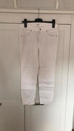 Cambio witte jeans maat 42 nieuw, Nieuw, W33 - W36 (confectie 42/44), Ophalen of Verzenden, Wit