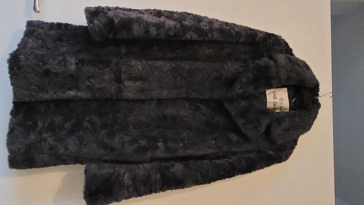 Dames jas merk : Giacomo The Jacket , Kleding | Dames, Jassen | Winter, Zo goed als nieuw, Maat 42/44 (L), Grijs, Ophalen of Verzenden