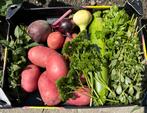 Biologisch groentes uit eigen tuin., Ophalen of Verzenden, Minder dan 100 cm, Overige soorten, Zomer