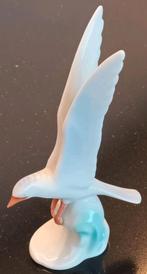 Sierlijke albatros Hollohaza, Ophalen of Verzenden, Zo goed als nieuw, Dier