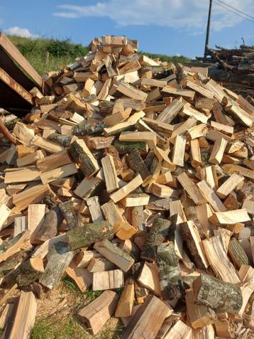 Hoogwaardig Droog en Halfdroog Brandhout! beschikbaar voor biedingen
