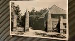 Arnhem Burgers dierenpark, Verzamelen, Ansichtkaarten | Nederland, Ophalen of Verzenden, 1940 tot 1960, Gelderland
