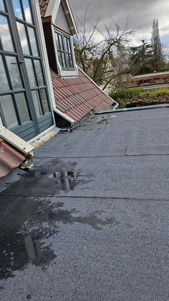 Dakdekker in korte tijd nodig?, Diensten en Vakmensen, Dakdekkers en Rietdekkers