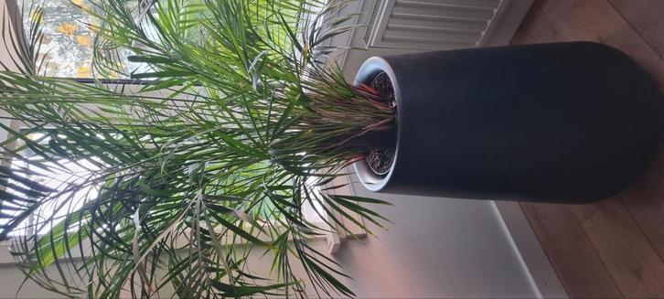 Grote kunststof antraciet/zwarte cilindervormige plantenbak/, Tuin en Terras, Bloempotten, Zo goed als nieuw, Kunststof, Binnen