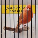 Goed zingende rode kanarie man, Dieren en Toebehoren, Mannelijk, Kleurkanarie