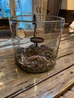 Grootste windlicht puur wonen, Huis en Inrichting, Woonaccessoires | Vazen, Ophalen, Overige kleuren, Minder dan 50 cm, Glas