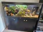 jewell rio 450 led, Dieren en Toebehoren, Ophalen of Verzenden, Zo goed als nieuw, Leeg aquarium