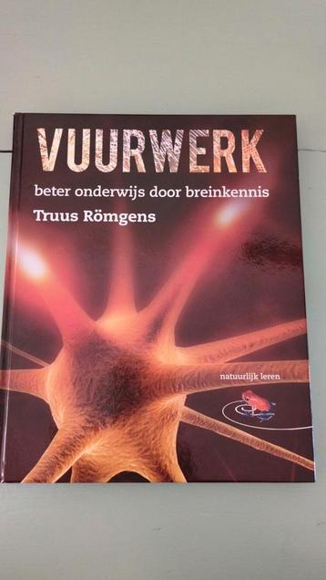 Vuurwerk, Truus Römgens, beter onderwijs door breinkennis beschikbaar voor biedingen