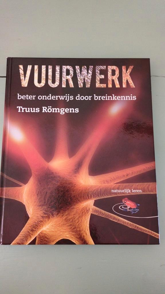 Vuurwerk, Truus Römgens, beter onderwijs door breinkennis, Boeken, Studieboeken en Cursussen, Nieuw, HBO, Ophalen of Verzenden