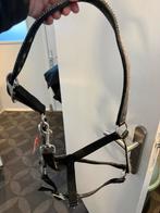 Glitter halster, Dieren en Toebehoren, Ophalen of Verzenden, Zo goed als nieuw, Overige soorten