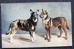 Twee grote honden, getekend, Verzamelen, Ansichtkaarten | Dieren, Verzenden, Voor 1920, Ongelopen, Hond of Kat