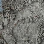 Gratis schoon geel zand +/- 0,5m3, Ophalen, Ophoogzand