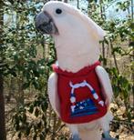 Avian fashions hoodie voor papegaai, Dieren en Toebehoren, Vogels | Toebehoren, Ophalen of Verzenden, Nieuw