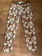 Liviana Conti bruine gebloemde broek maat 34 zgan, Kleding | Dames, Bruin, Ophalen of Verzenden, Zo goed als nieuw, Maat 34 (XS) of kleiner