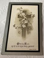 Godefrida van Pinxteren 1916 Vught 14 jaar, Ophalen of Verzenden, Bidprentje