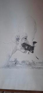 Peter Vos litho schiereiland Melancholie., Ophalen, Minder dan 50 cm, Zo goed als nieuw, Minder dan 50 cm