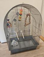 Vogelkooi met toebehoren, Dieren en Toebehoren, Vogels | Hokken en Kooien, Ophalen, Gebruikt, Metaal, Vogelkooi