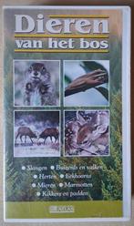 Dieren van het bos, Alle leeftijden, Ophalen of Verzenden, Gebruikt