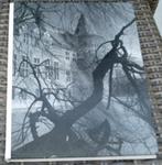 Cas Oorthuys: Helmond, een kasteel tussen fabrieken., Boeken, Ophalen of Verzenden, Zo goed als nieuw, Fotografen