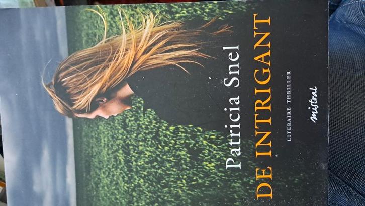 Patricia Snel - De intrigant, Boeken, Thrillers, Zo goed als nieuw, Nederland, Ophalen of Verzenden