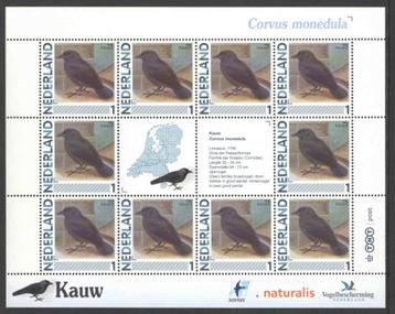 Postzegels Vogels in Nederland: Kauw beschikbaar voor biedingen